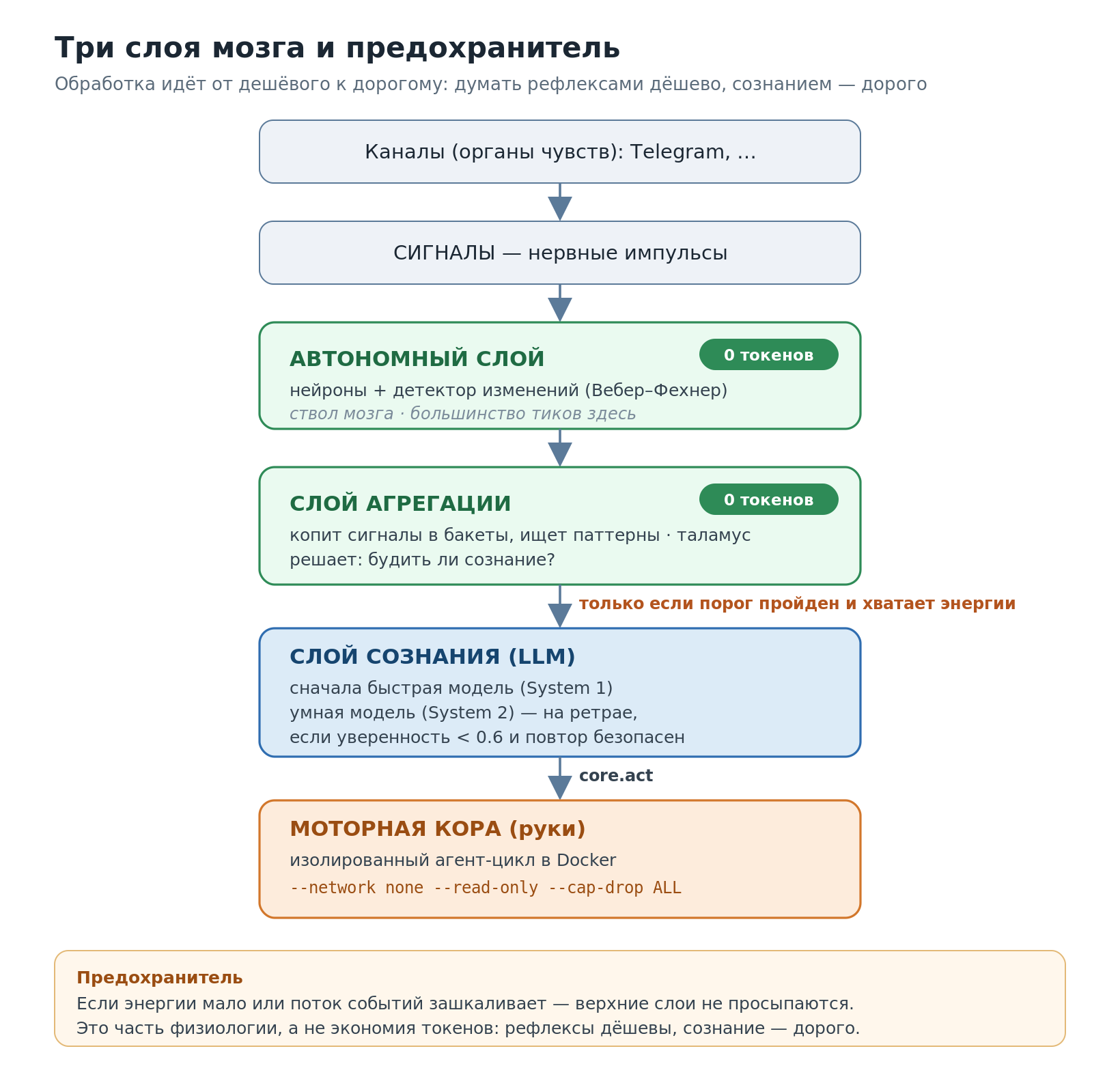 От органов чувств к рукам: дешёвые слои крутятся постоянно, сознание включается редко